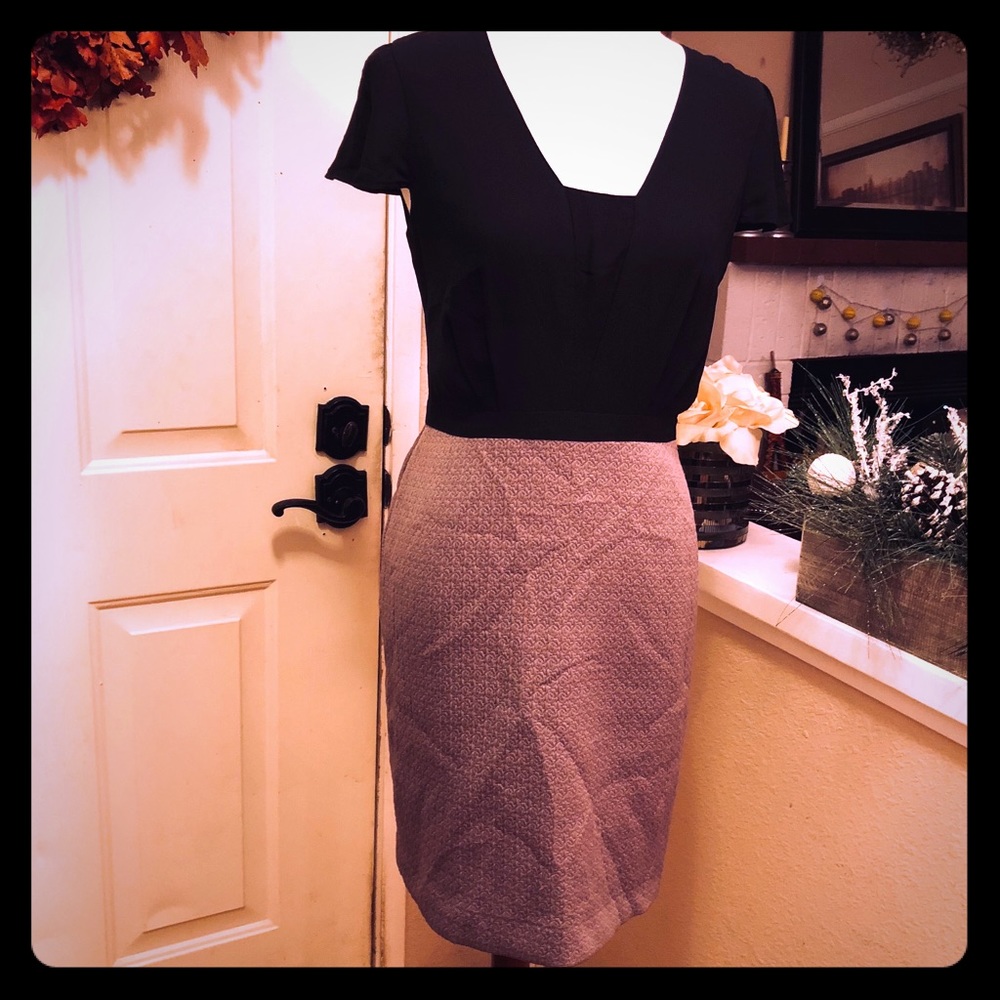 Gorgeous Paper Crown Taupe & Black Midi Dress